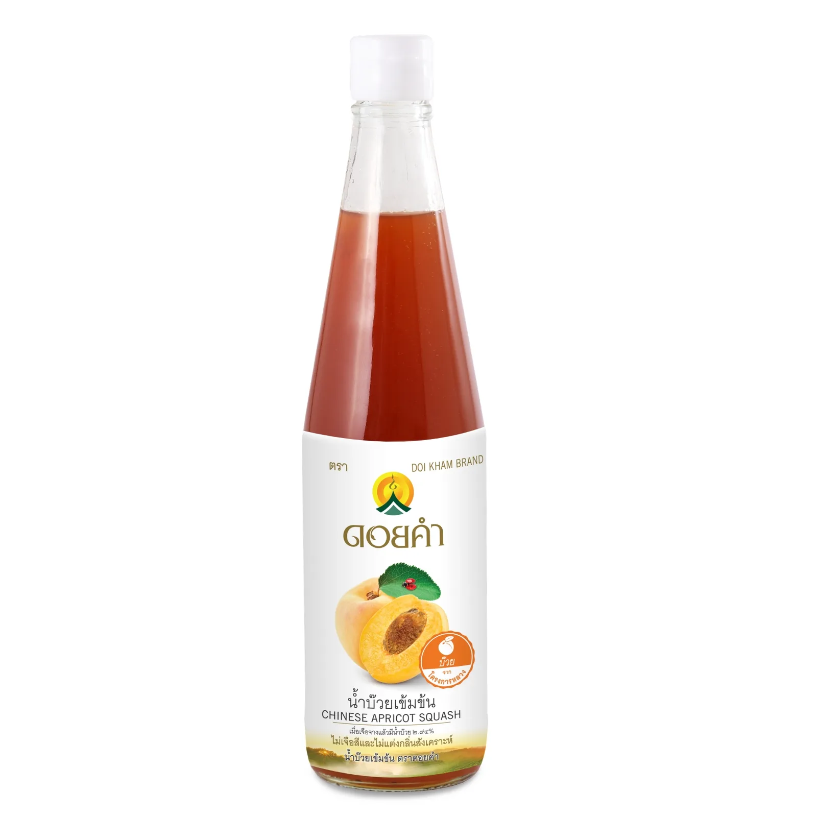Doi Kham Chinese Apricot Squash 500ml 12-Pack